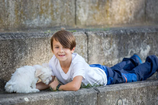 Παιδί Χαριτωμένο Αγόρι Παίζει Κατοικίδιο Του Σκύλου Στο Πάρκο Μαλτέζικο — Φωτογραφία Αρχείου