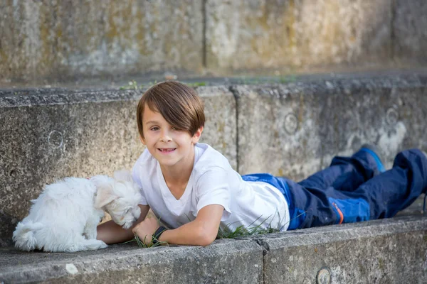 Child Cute Boy Playing Dog Pet Park Maltese Dog Kid — Stock Photo, Image