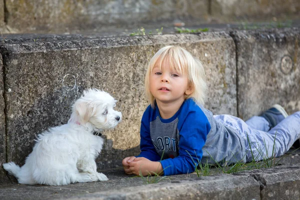 Ребенок Милый Мальчик Играет Собакой Домашнее Животное Парке Мальтийская Собака — стоковое фото