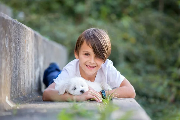 Çocuk Sevimli Çocuk Parkta Köpek Evcil Hayvanıyla Oynuyor Kötü Huylu — Stok fotoğraf