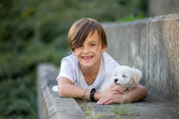 Niño Lindo Chico Jugando Con Perro Mascota Parque Perro Maltés —  Fotos de Stock