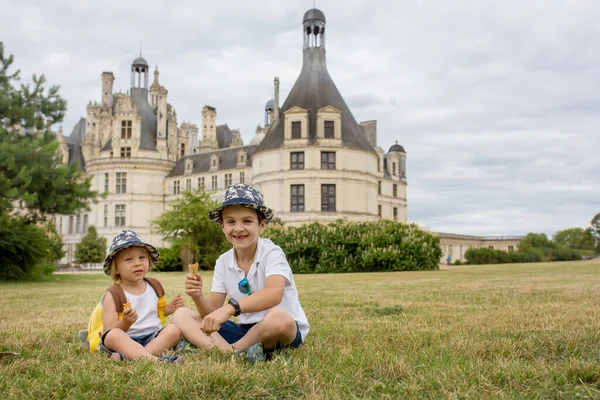 Happy Children Enjoying Day Castle Loire Valley France Summer Sunny — Stock Photo, Image