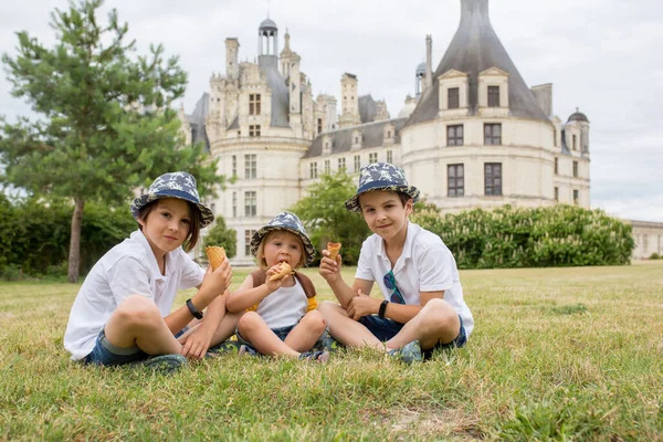 Niños Felices Disfrutando Día Castillo Valle Del Loira Francia Día — Foto de Stock
