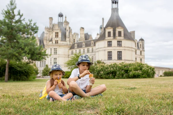 Niños Felices Disfrutando Día Castillo Valle Del Loira Francia Día — Foto de Stock