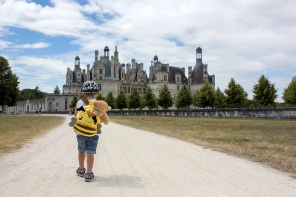Happy Child Enjoying Day Castle Loire Valley France Summer Sunny — Stock Photo, Image