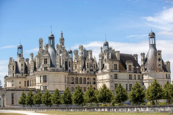 Beau Château Sur Vallée Loire France Par Une Journée Ensoleillée — Photo