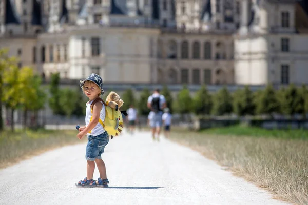 Happy Child Enjoying Day Castle Loire Valley France Summer Sunny — Stock fotografie