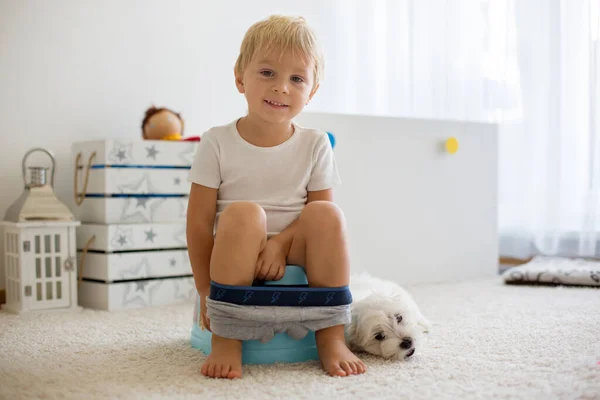 Criança Loira Usando Penico Casa Pequeno Cão Maltês Estimação Deitado — Fotografia de Stock