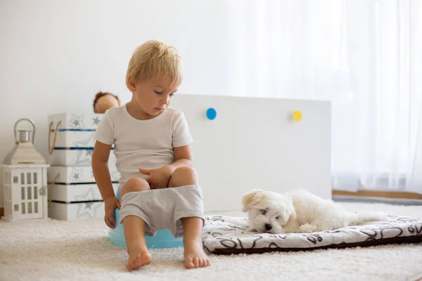 Blond Toddler Child Using Potty Home Little Pet Maltese Dog — Stock Photo, Image
