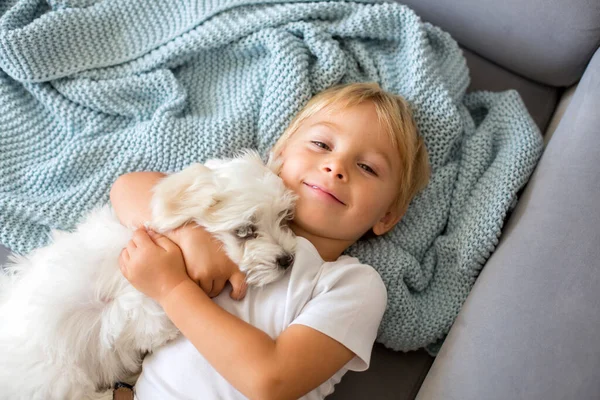 Criança Menino Deitado Cama Com Cachorro Estimação Cachorrinho Maltês — Fotografia de Stock