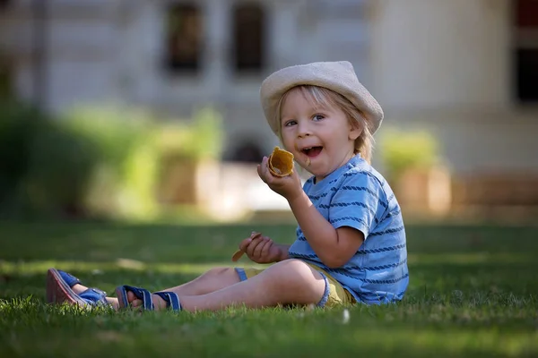 Criança Bonito Menino Criança Comer Sorvete Parque Dia Ensolarado Verão — Fotografia de Stock