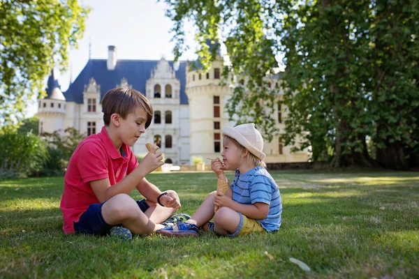 Dzieci Cute Boy Brothers Siedzi Parku Jeść Lody — Zdjęcie stockowe