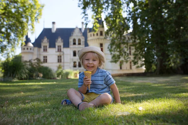 Niño Lindo Niño Pequeño Comiendo Helado Parque Día Soleado Verano — Foto de Stock