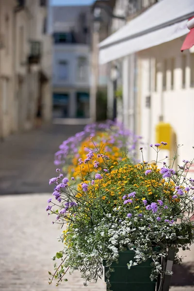 Straße Mit Blumentöpfen Der Altstadt — Stockfoto