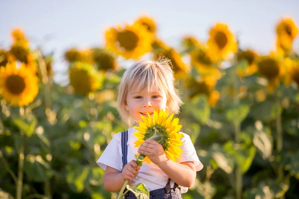 Piccolo Bambino Bambino Nel Campo Girasole Che Gioca Con Grande — Foto Stock