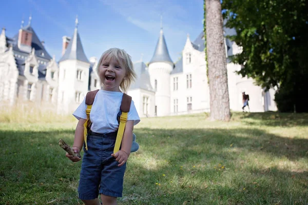 小孩在卢瓦尔河流域一座城堡前的公园里散步 — 图库照片