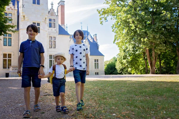 Crianças Caminhando Juntas Parque Frente Castelo França — Fotografia de Stock