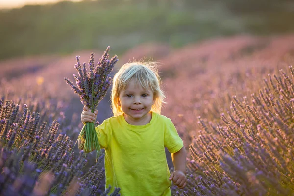 Söt Liten Pojke Vacker Pojke Leker Lavendelfält Vid Solnedgången — Stockfoto