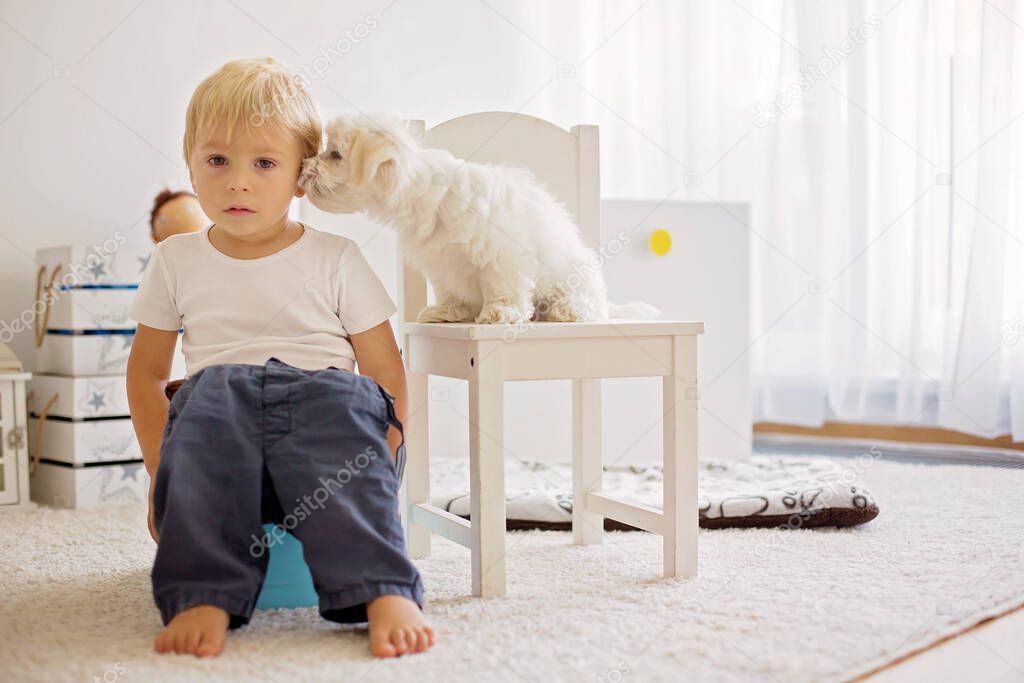 Blond toddler child, using potty at home, little pet maltese dog lying next to him