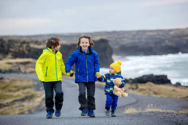 孩子们 在冰岛斯奈弗勒 约翰库尔国家公园 在美丽的大自然中 走在靠近海洋的弯道上 秋天日落时分 — 图库照片