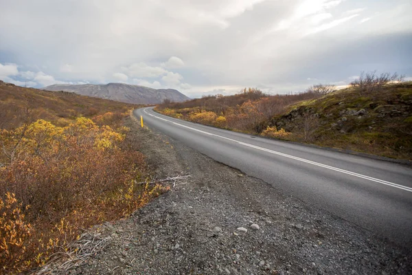 Zlanda Yolunun Manzarası Doğanın Güzel Gerçek Görüntüsü Sonbahar Zamanı Zlanda — Stok fotoğraf