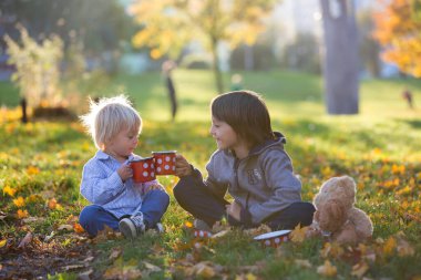 Güzel çocuk ve ağabeyi, çocuklar, gün batımında oyuncak ayı arkadaşlarıyla parkta çay içiyorlar.