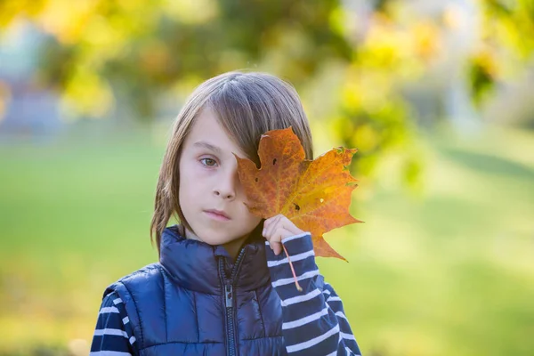 Mooie Kleuter Met Groot Blad Voor Zijn Gezicht Kijkend Naar — Stockfoto