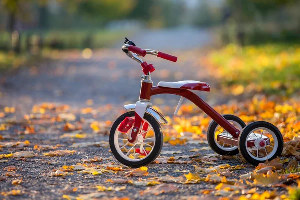 Triciclo Vintage Rojo Parque Atardecer Hermoso Día Soleado Otoño — Foto de Stock