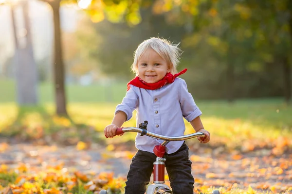 Красива Блондинка Два Роки Малюк Їзда Червоному Триколісному Велосипеді Парку — стокове фото
