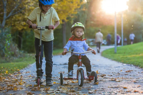美しいブロンド2歳の幼児の男の子と彼の兄 日没の公園で赤い三輪車とスクーターに乗って 美しい秋の日 — ストック写真