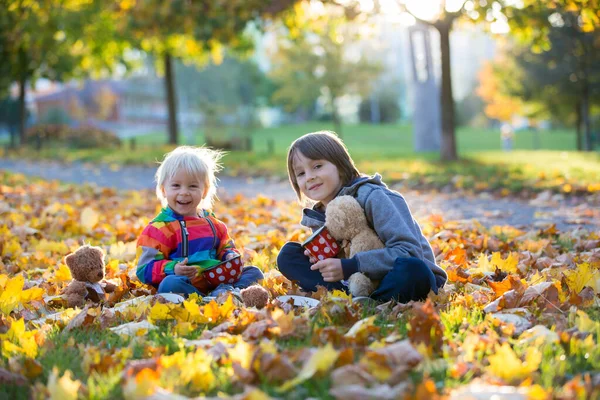 美丽的幼儿和他的哥哥 男孩们 日落时和玩具熊朋友一起在公园喝茶 — 图库照片