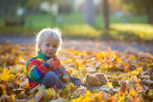 Γλυκό Παιδί Αγόρι Παίζει Στο Πάρκο Φύλλα Στο Ηλιοβασίλεμα — Φωτογραφία Αρχείου