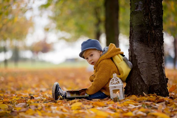 Menino Moda Bonita Criança Lendo Livro Parque Com Lanterna Mão — Fotografia de Stock