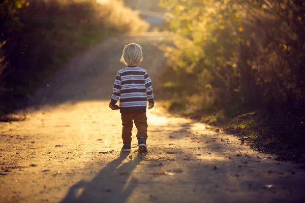 Hermoso Niño Pequeño Caminando Por Sendero Rural Atardecer Retroiluminado Con — Foto de Stock