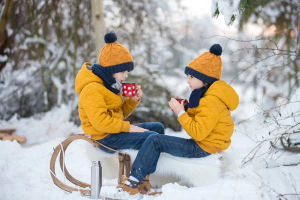 可爱的兄弟姐妹 孩子们在雪地的森林里举行冬季派对 孩子们的朋友们在大自然的户外休息 兄弟们 孩子们 喝热水瓶里的茶寒冷天气下的热饮和饮料 — 图库照片