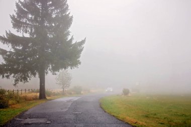 Çocuklar, kardeşlerim, sisli bir sonbahar gününde kırsal bir yolda birlikte yürüyoruz.