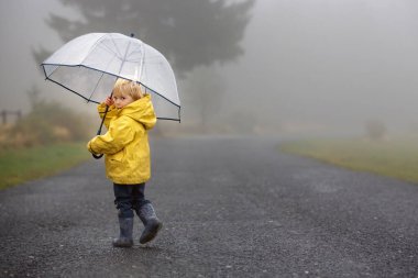 Şirin sarışın çocuk, evlat, kırsal bir yolda sisli bir sonbahar gününde yağmurda şemsiyeyle oynuyor.