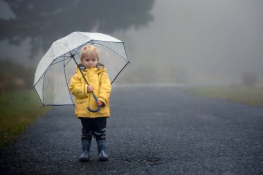 Şirin sarışın çocuk, evlat, kırsal bir yolda sisli bir sonbahar gününde yağmurda şemsiyeyle oynuyor.