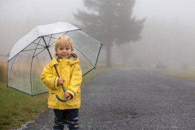 Şirin sarışın çocuk, evlat, kırsal bir yolda sisli bir sonbahar gününde yağmurda şemsiyeyle oynuyor.
