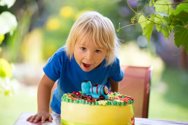 蹒跚学步的男孩 在户外用彩色蛋糕庆祝他的生日 — 图库照片