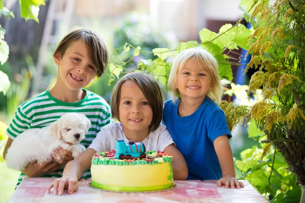 정원에서 형제들과 가족과 야외에서 생일을 축하하고 어린아이 — 스톡 사진