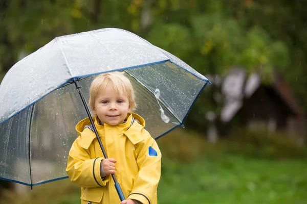 กทารกผมบลอนด กชาย นในฝนก มในว นฤด ใบไม วงหมอกบนถนนชนบท — ภาพถ่ายสต็อก