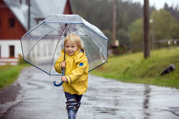 กทารกผมบลอนด กชาย นในฝนก มในว นฤด ใบไม วงหมอกบนถนนชนบท — ภาพถ่ายสต็อก