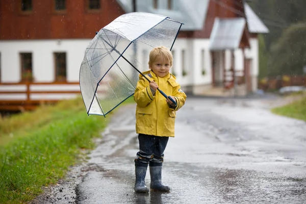 กทารกผมบลอนด กชาย นในฝนก มในว นฤด ใบไม วงหมอกบนถนนชนบท — ภาพถ่ายสต็อก