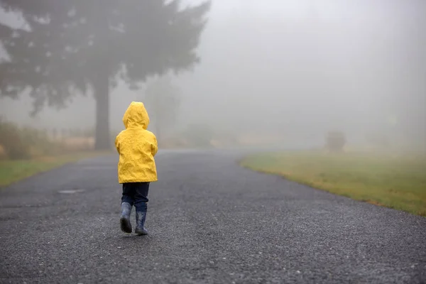 Cute Blond Toddler Child Boy Playing Rain Umbrella Foggy Autumn — Stock Photo, Image