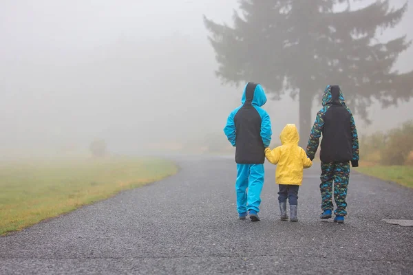 Niños Hermanos Caminando Por Sendero Rural Día Nublado Otoño Juntos —  Fotos de Stock