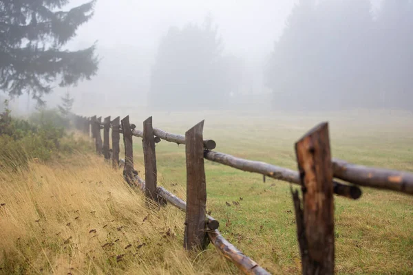 Paisaje Brumoso Con Gran Valla Campo Rural Árboles Hierba Frita —  Fotos de Stock