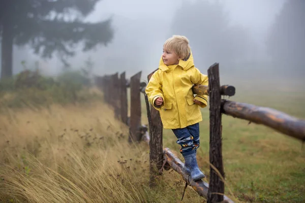 Niedliches Blondes Kleinkind Junge Spielt Regen Mit Regenschirm Einem Nebligen — Stockfoto