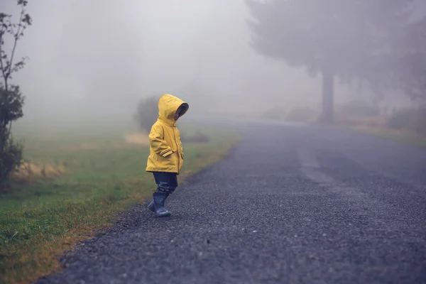 Мила Блондинка Малюк Хлопчик Грає Під Дощем Парасолькою Туманний Осінній — стокове фото