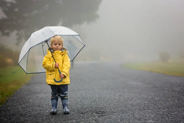 Cute Blond Toddler Child Boy Playing Rain Umbrella Foggy Autumn — Stock Photo, Image